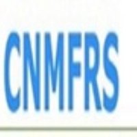 chinamfrs